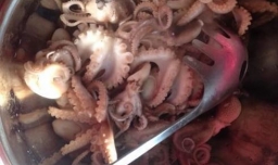 八带鱼的家常做法