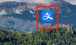 债权转让公告的刊登报纸要求