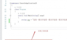 Visual  Studio如何设置代码自动换行