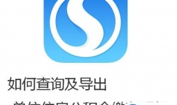 如何查询及导出单位住房公积金缴存明细