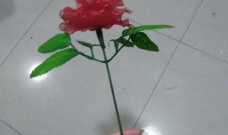 手工牡丹花的制作