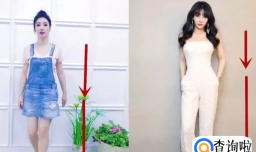 正常人都是五五分身材吗