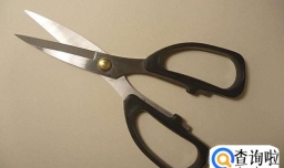 绿萝太密怎么修剪