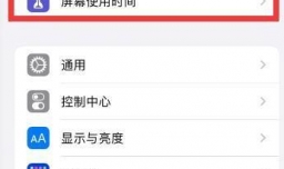 iphone访问限制在哪