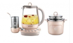 养生壶十大品牌排行榜