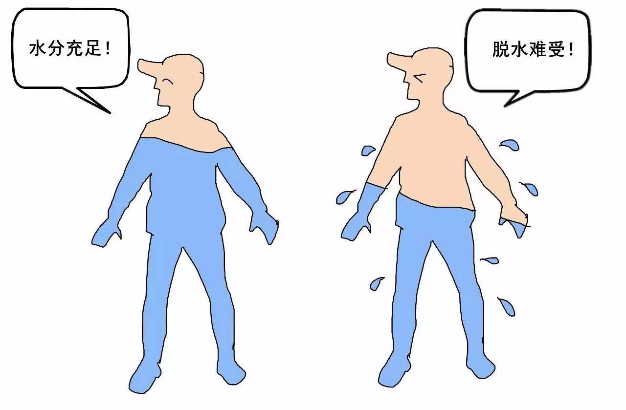人体内有多少水