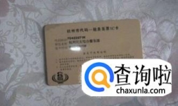 公司如何报税流程