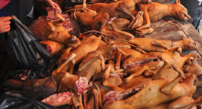 玉林狗肉节是几月几号