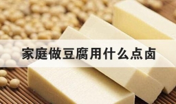 家庭做豆腐用什么点卤