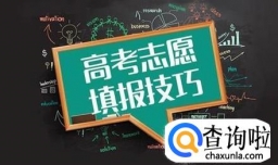 高考艺术专业美术生如何填报志愿