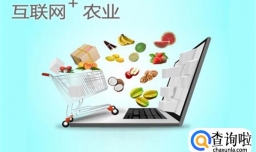 怎样做农村电商