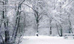 winter是什么意思