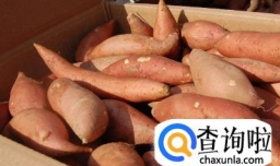 用电烤箱烤红薯怎么烤？