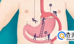 胃腩和肚腩有何区别