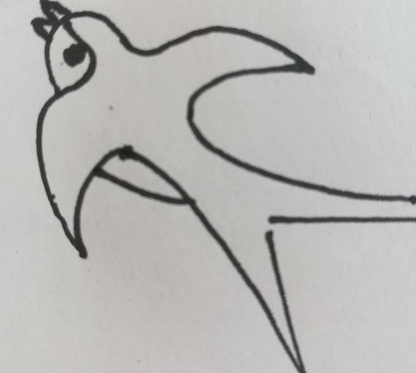 燕子简笔画