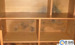 木柜发霉了要怎么办