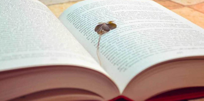 书籍是人类进步的阶梯是什么意思