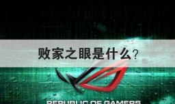 败家之眼是什么