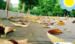 几月份是甲流高发季