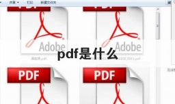 pdf是什么