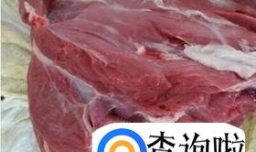 怎么做羊肉汤才好吃