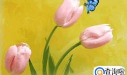 如何掌握一些人生道理？