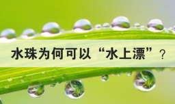 水珠为何可以水上漂
