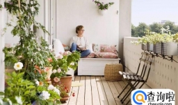 多肉蓝豆怎么养