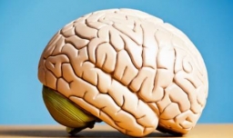 最损害大脑的6个行为是什么？