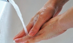 菠萝蜜的汁粘手怎么办