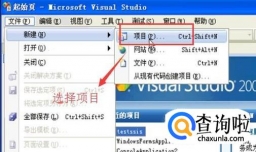 Visual  Studio如何创建报表项目