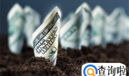 盘点留学英国5大百万年薪职业