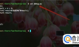 怎么用python的pdb模块进行调试？