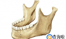 整容的原理是什么