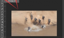 用photoshop将图片四角变成圆角