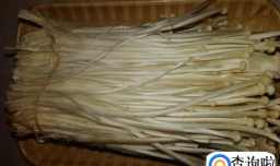 金针菇伴肉碎的做法