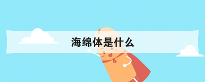 海绵体是什么