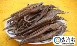 吃海马干对身体有哪些功效