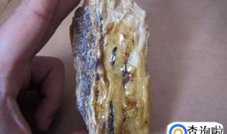 琥珀的药用价值有哪些