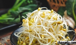 黄豆芽好还是绿豆芽好