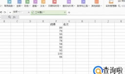 Excel表格中怎样对一组数据进行排名