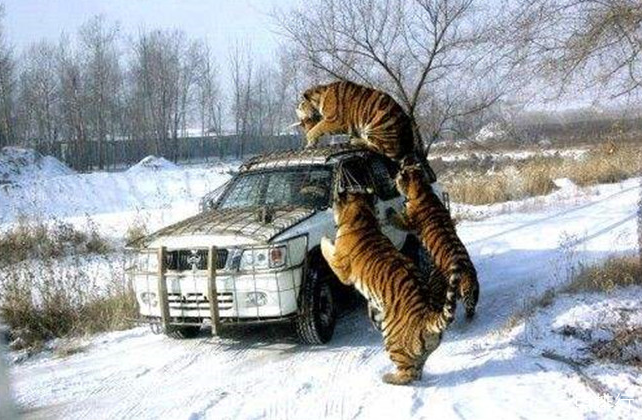 哈尔滨旅游攻略