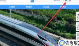 高铁学生票怎么买