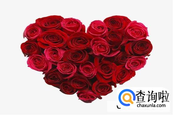 闺蜜订婚送什么花