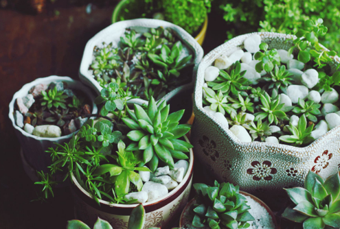 搬家送什么礼物好