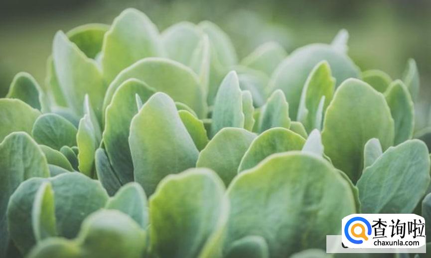 如何减轻吸二手烟的危害