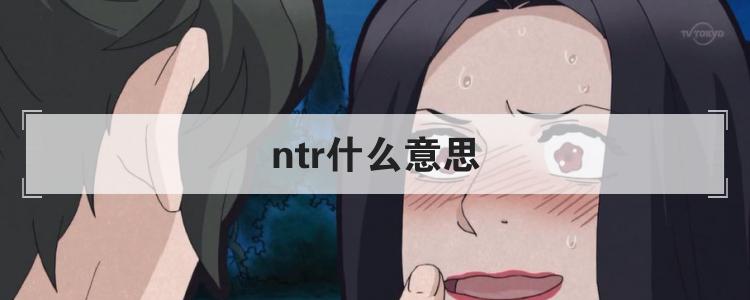 ntr什么意思