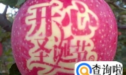 平安夜、圣诞节送什么礼物好呢？