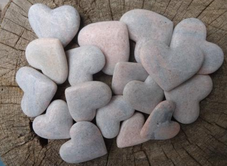 石子心是什么意思