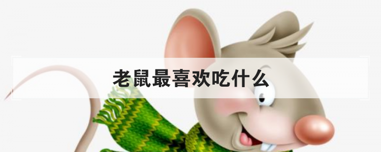 老鼠最喜欢吃什么